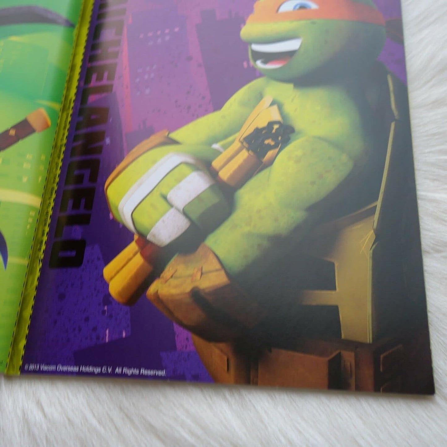Teenage Mutant Ninja Turtles: Ultimate Fan Book