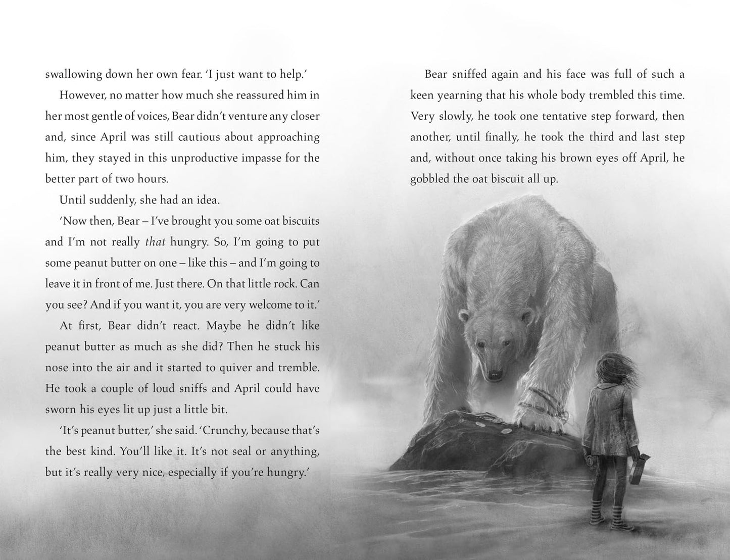 The Last Bear ( Pack of 30 )