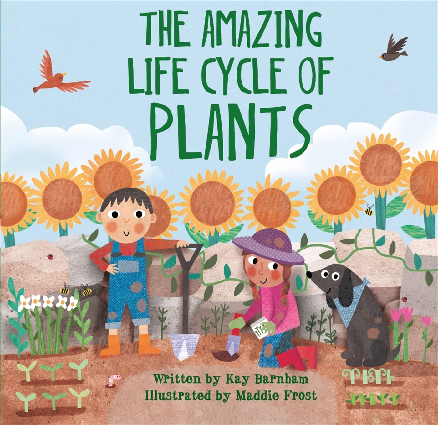 Look & Wonder: Amazing Life Cycle of Plants
