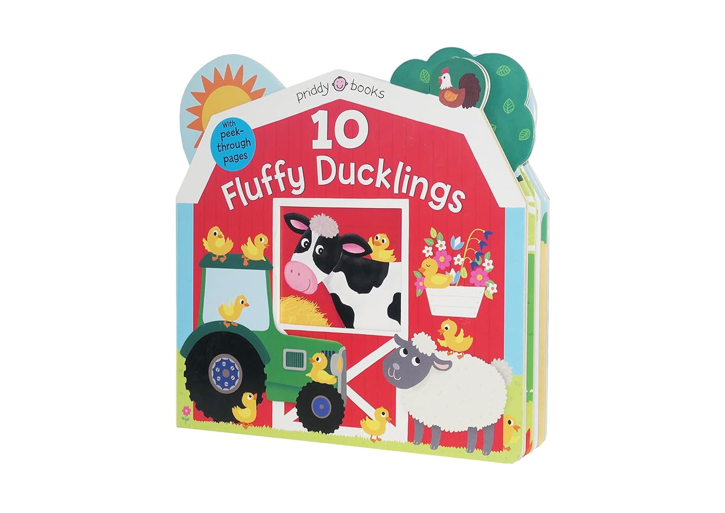 10 Fluffy Ducklings