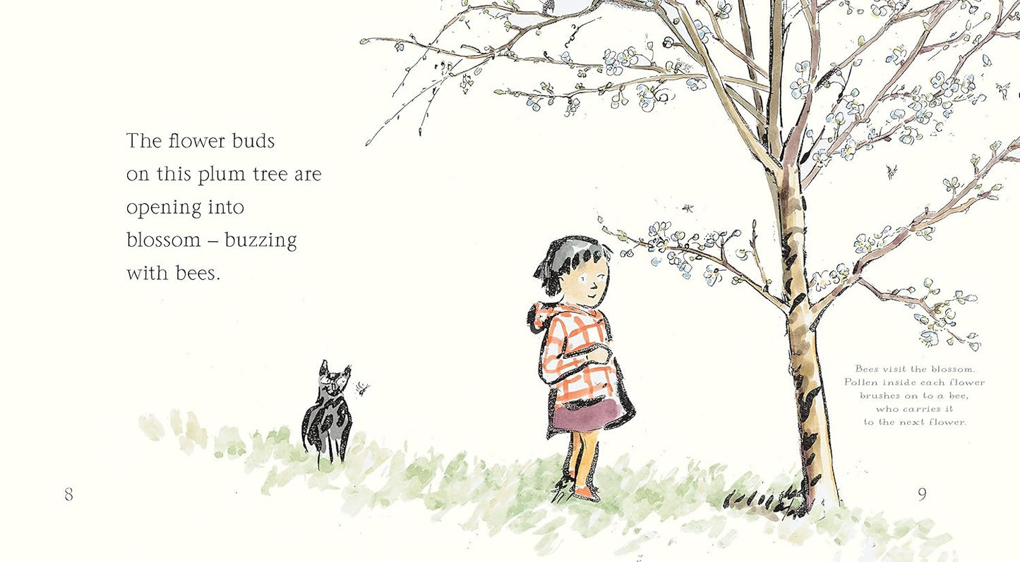 Things That I Love About Trees
