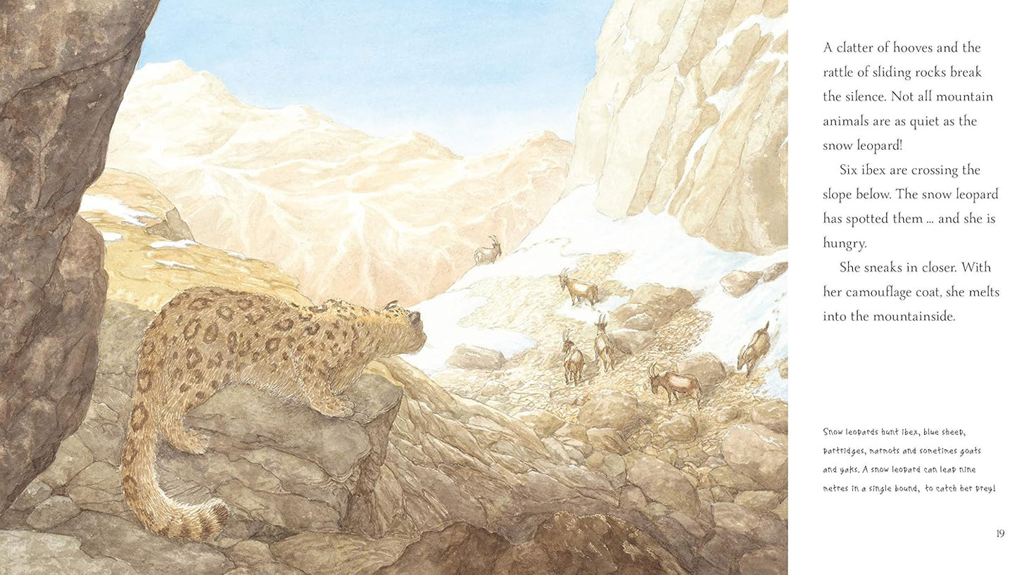 Snow Leopard