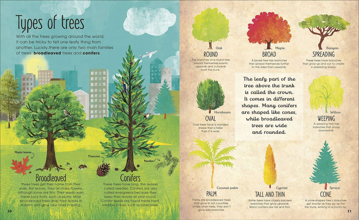 RHS The Magic & Mystery of Trees