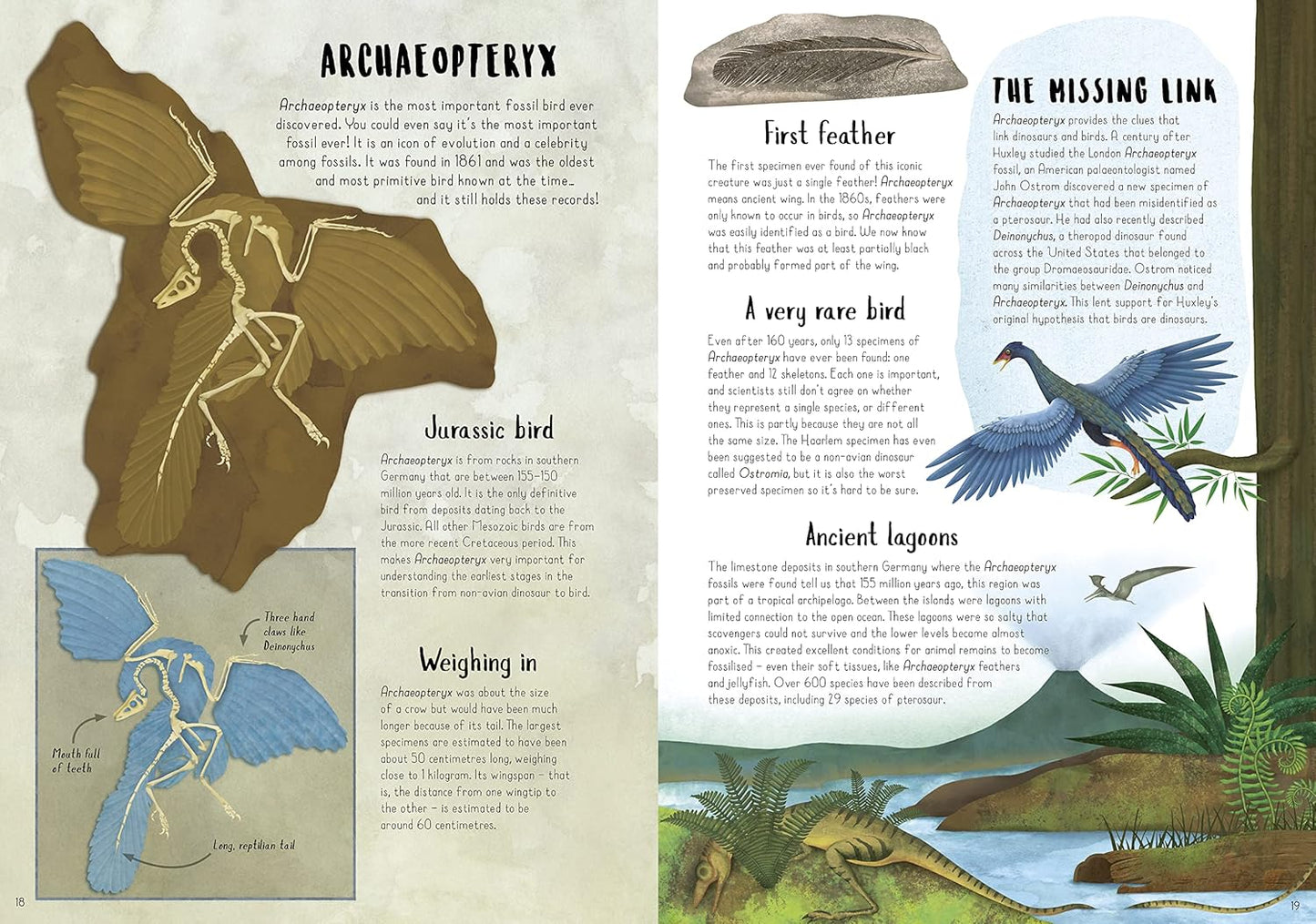 When Dinosaurs Conquered the Skies