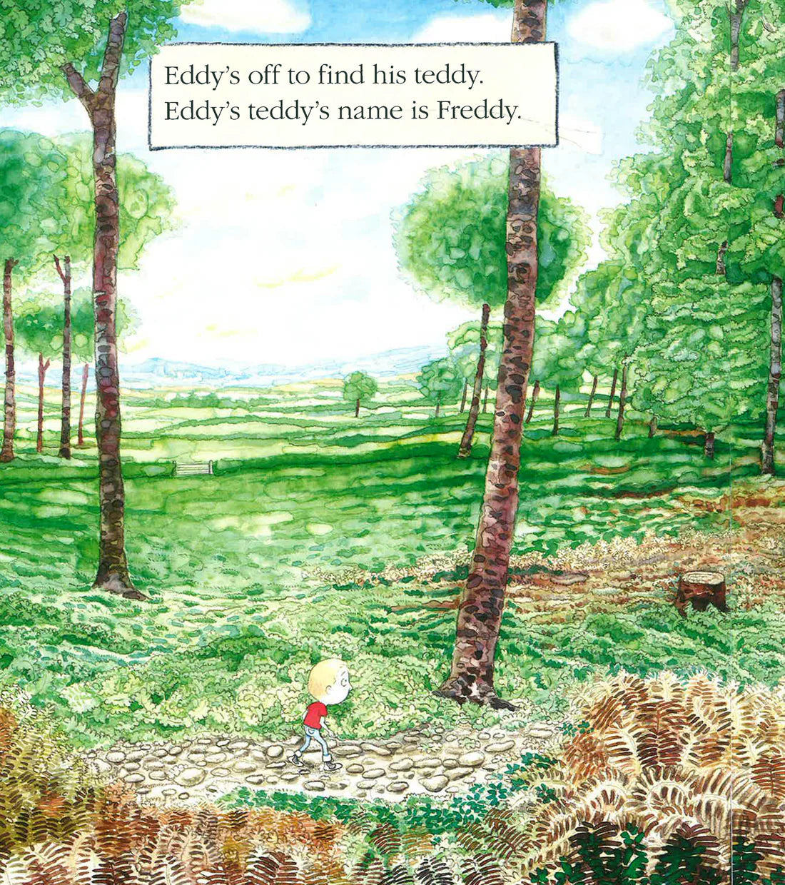 Where's My Teddy?