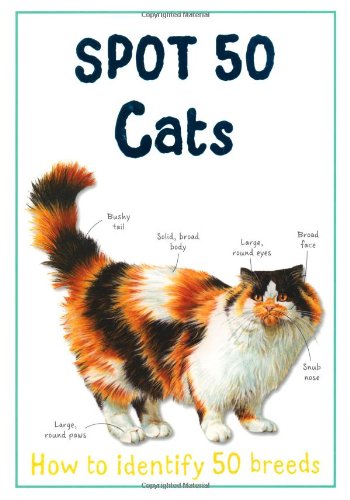Spot 50: Cats