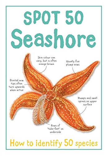 Spot 50: Seashore