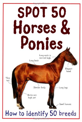 Spot 50: Horses & Ponies