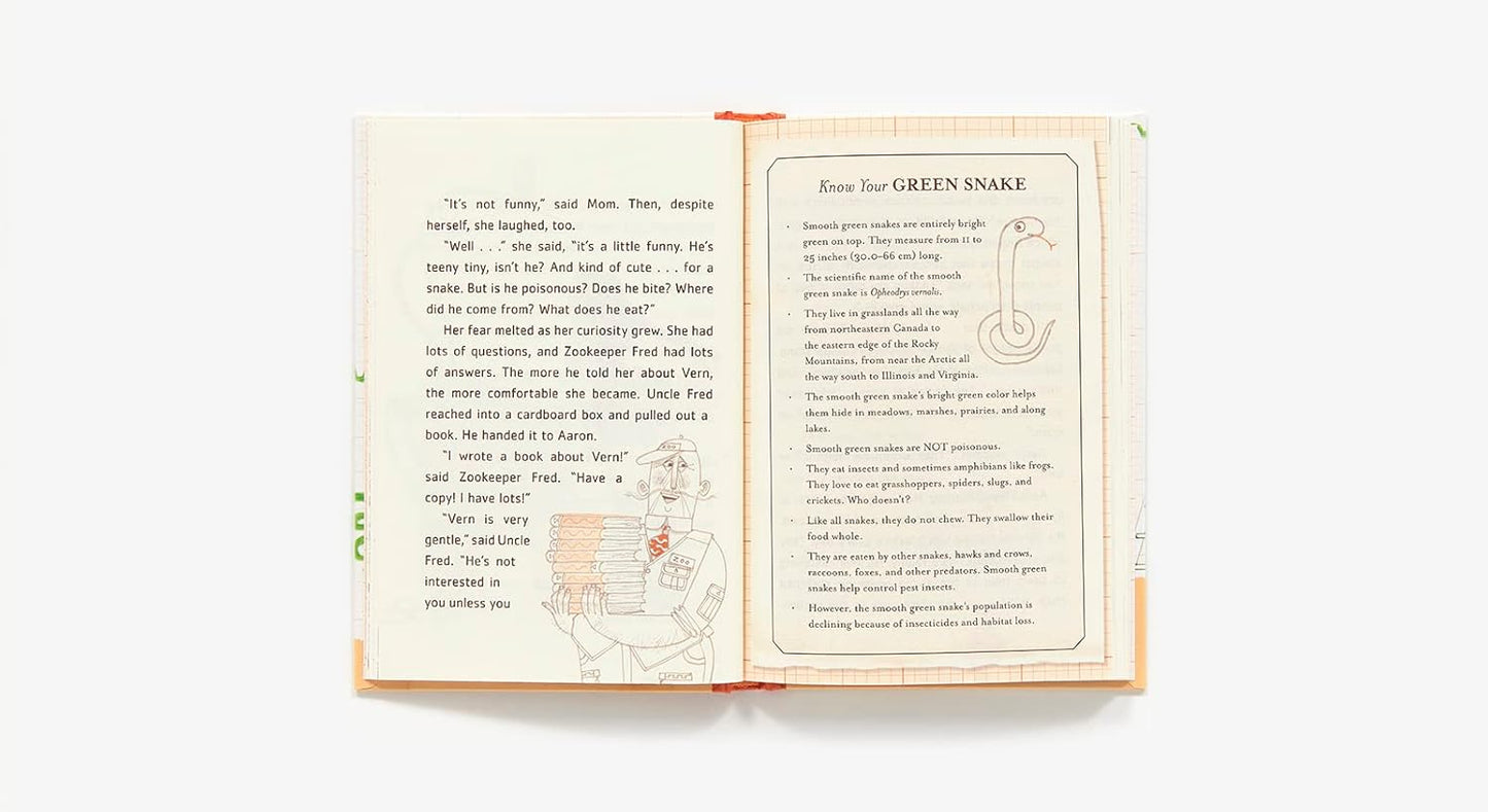 Aaron Slater and the Sneaky Snake (Pack of 10)
