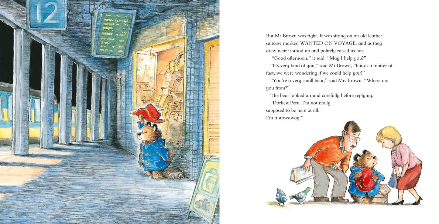 Paddington ( Pack of 30 )