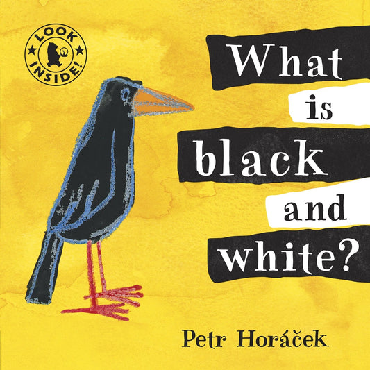 What Is Black & White?