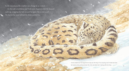 Snow Leopard