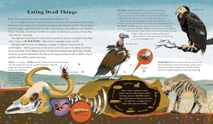 Animal Super Powers: Most Amazing Ways Animals Have Evolved