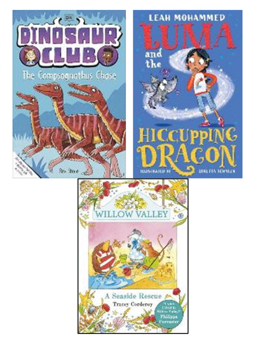 Year 2 Class Set - 1 (Pack Of 30)