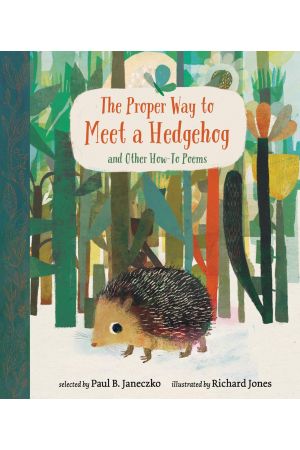 Proper Way To Meet A Hedgehog