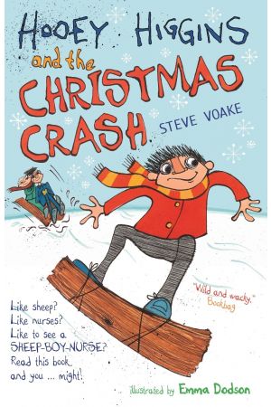 Hooey Higgins and the Christmas Crash 